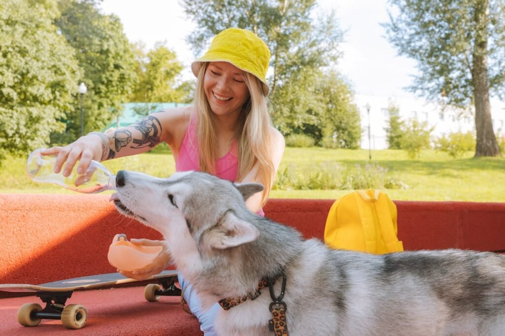 Free Smiling woman pours water for her husky while enjoying a sunny day outdoors. Stock Photo