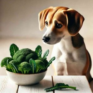 Can Dogs Eat Broccoli Rabe? The Shocking Truth Revealed!"