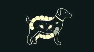 What Does Giardia Poop Smell Like in Dogs? Causes & Identification