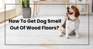 How To Get Dog Smell Out Of Wood Floors? Like a Pro!